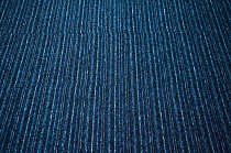 Solid Stripes 583 фото 5 | FLOORDEALER